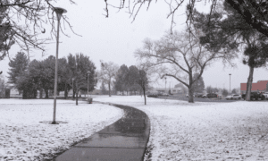 Snow on either side of a sidewalk
